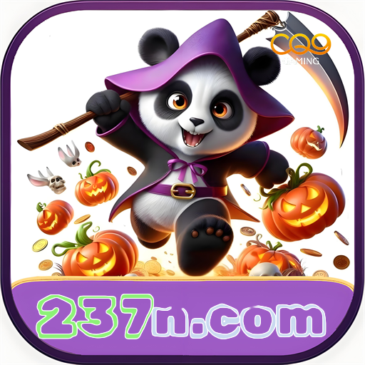 237n.com
